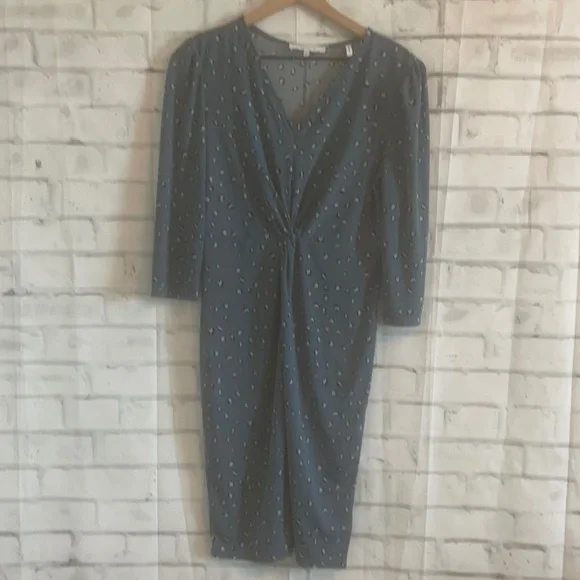 Lark & Ro Blue Cheetah dress - Picture 3 of 5